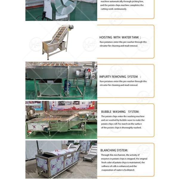 potato chip and french fries quick frozen production line