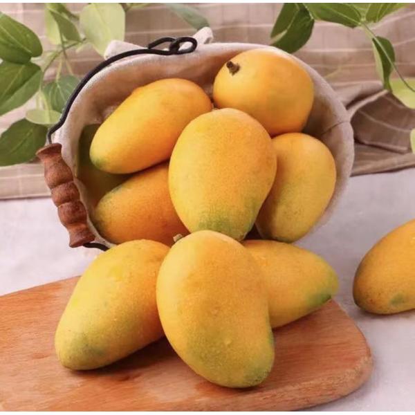 60% Fulvic Acid Potassium Fulvate Powder for Soil Improvement