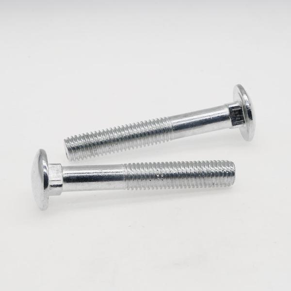 Customized carriage screws