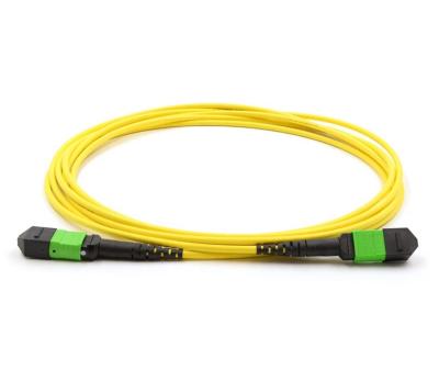 MPO / MTP Fiber Optic Jumper Cables Single Mode G657A G652D Multi Mode OM3 OM4