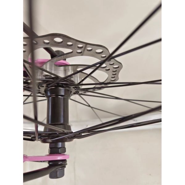 High Carbon Steel Frame Electric Foldable Bike with Custom Design and Powerful Disc Brake 160mm