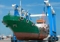 Odm 10 toneladas a 1000 toneladas de guindaste móvel da grua do barco