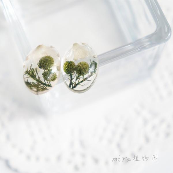 Van Gogh’s Guess Handcrafted Black Square Dry Flower 925 Silver Stud Earrings For Sale