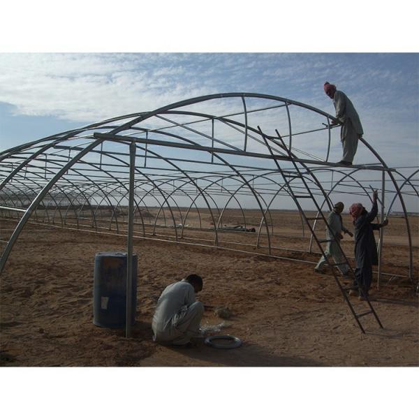 200 Micron Plastic Sheeting Greenhouse Customizable For Gulf Countries