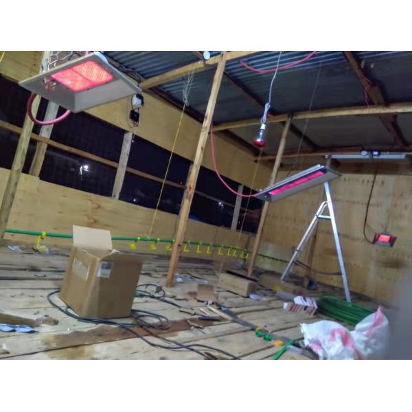 Manual Ignition Gas Brooder Heater LPG Infrared For Husbandry Equipment