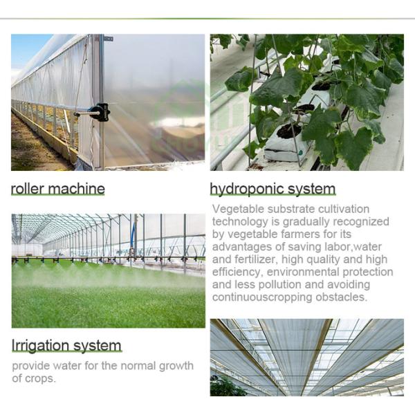 Hot Dip Glavanized Steel Polytunnel Greenhouse 10X30m Single Span