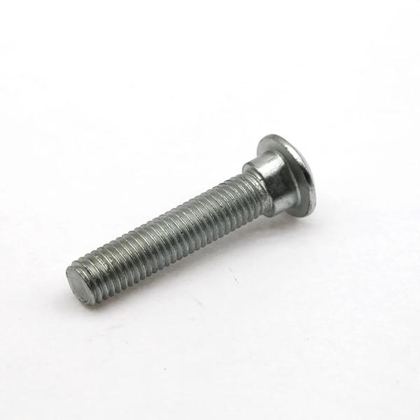 Customized carriage screws