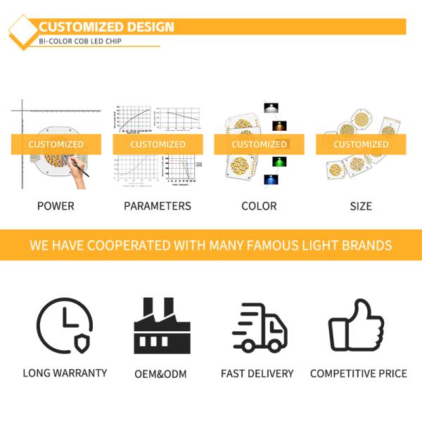 Photography Light LED Chip 2424 Series 40W 40W Bi Color 2800K/6500K 100/110 LM/W 1100MA 36V-38V 24X24MM