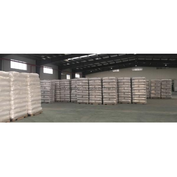 ISO Certified Sodium Carboxymethyl Cellulose for Food and Detergent Grade Applications