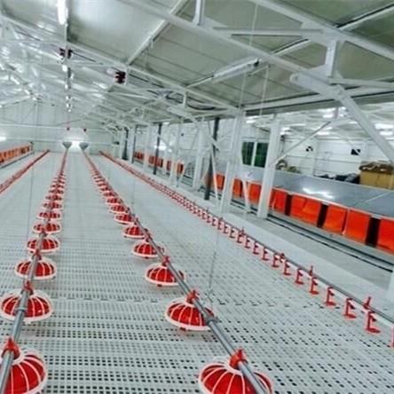 O criador da grelha do PVC cultiva o revestimento da veneziana das aves domésticas