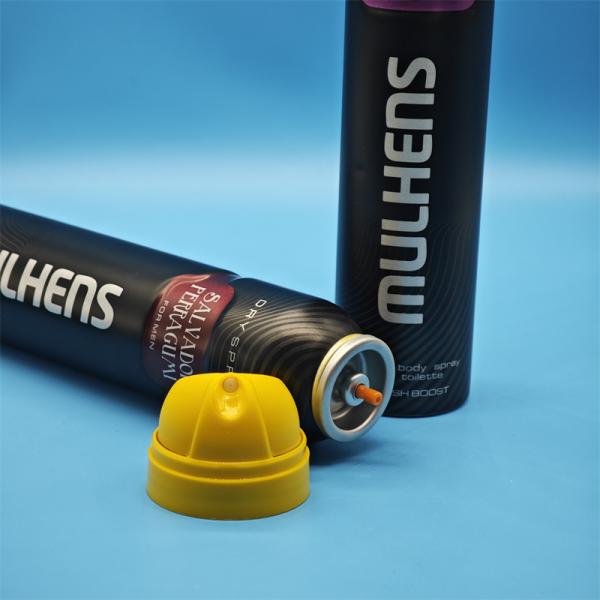 High-Performance Aerosol Deodorant Body Spray Valve for Personal Care Brands with Precision Metered Dose and 360-Degree Spray Actuator