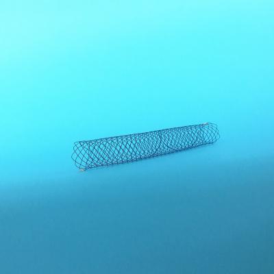 Silicon Covered PTCD Bile Duct Stent With Ni Ti Memory Alloy Elastic Wire