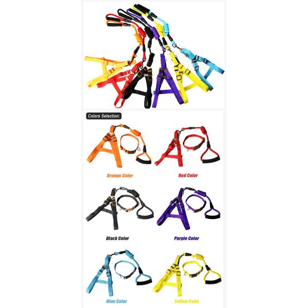 Fancy Dog Collar Harness And Leash Set For Daily Walking