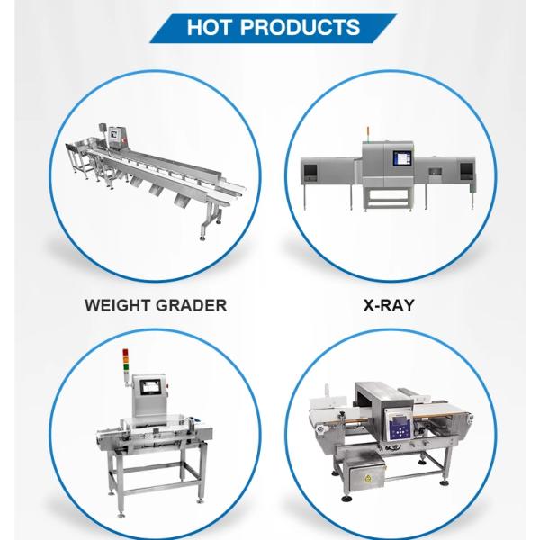 Промышленная онлайн машина Weigher проверки