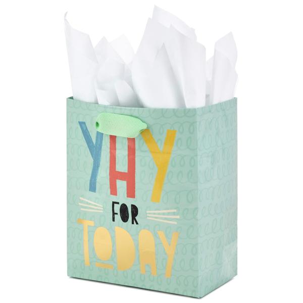 Ручно изготовленные настраиваемые простые бумажные пакеты Kraft с логотипом для экологически чистой упаковки