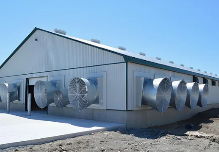 Automated Feeding & Watering Systems with Smart Climate Control for Durable & Hygienic Steel Poultry House Equipment