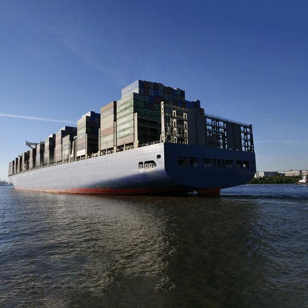 De Guangzhou Mar Freight LCL e FCL OOG Professional Shipping