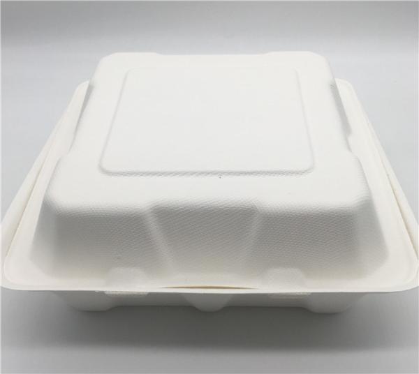 Bento Petroleum Free 8 ×8” biodegradável remove caixas