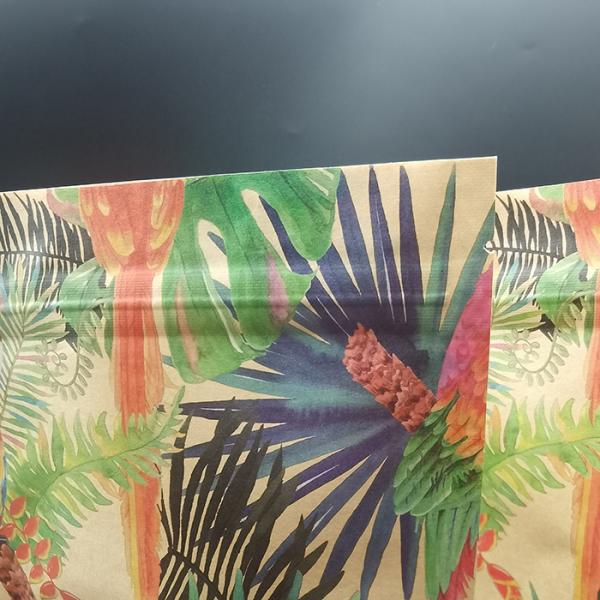 CTP Printing Compostable Packaging Bags Brown Kraft Paper Stand Up Pouch OEM