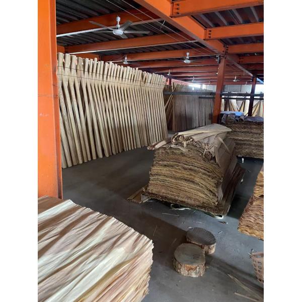 Rotary Die Board Cutting Curved Plywood with Full Poplar Material and UV Varnish