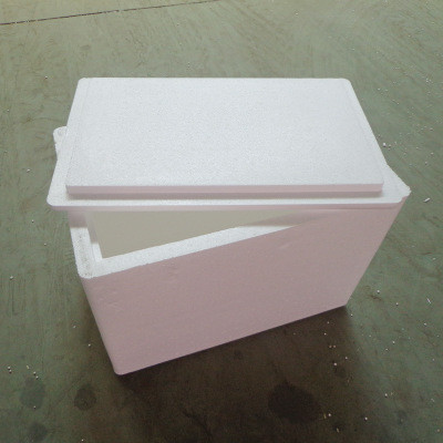 expandable polystyrene eps foam shape moulding fish box floor heating making machine