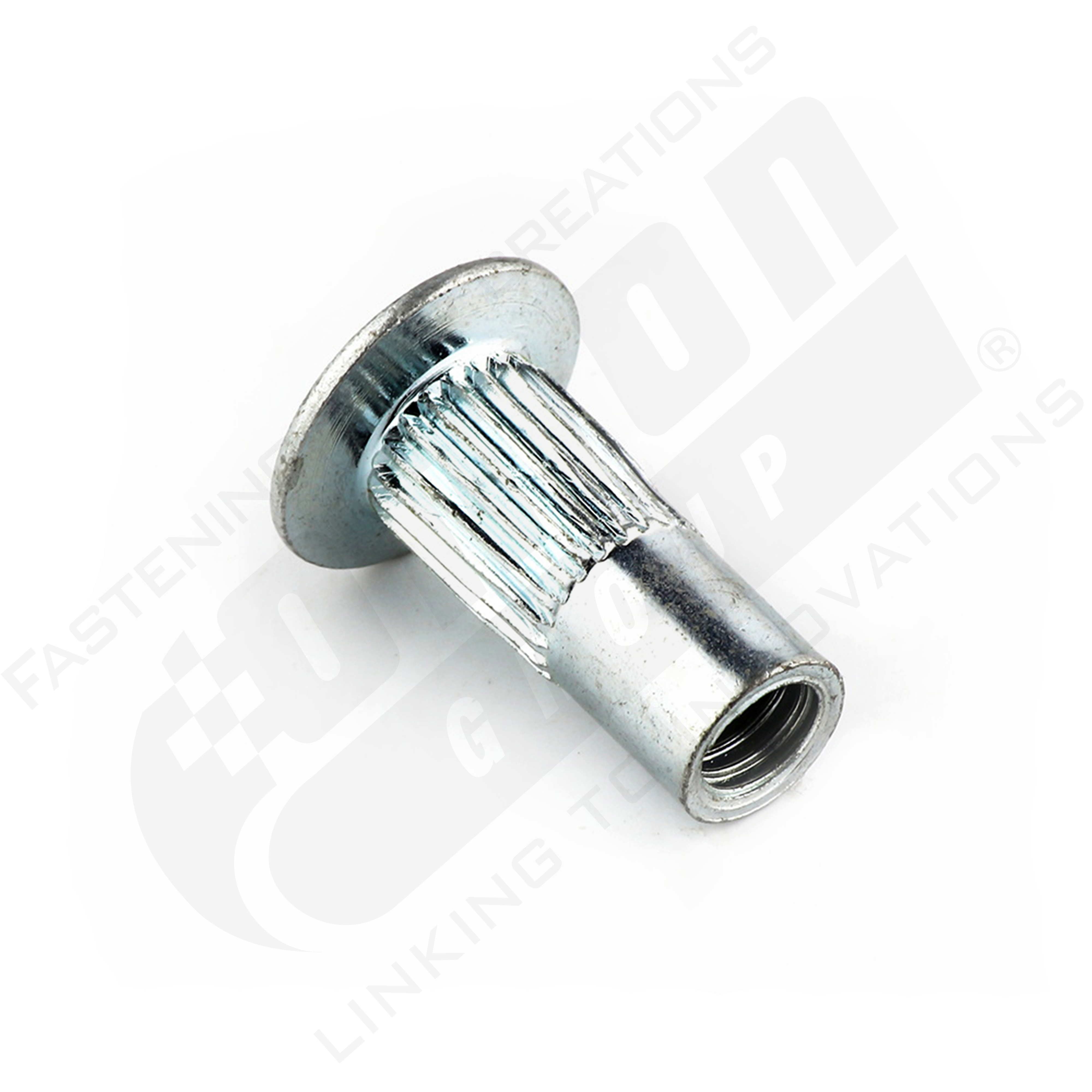 RIVETS