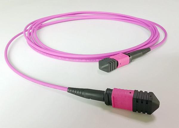 Protocolos 40G/100G roxos do cabo do remendo de OM4 MPO para a rede de telecomunicação