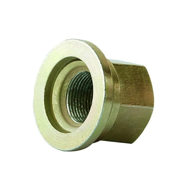 Matériau 40Cr Ford Focus roue écrous de remorque roue boutons et écrous 22 mm de diamètre