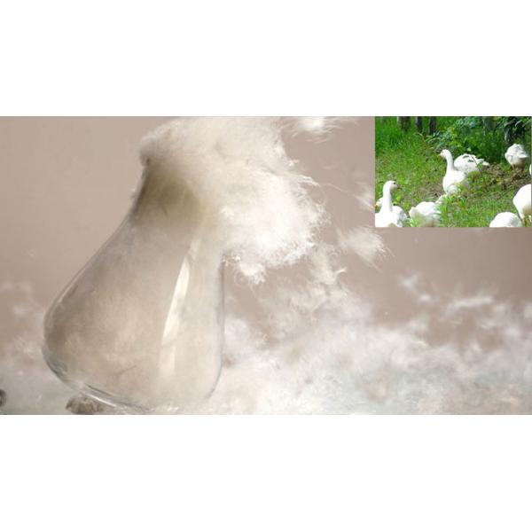 75% Duck Down 25% Duck Feather Quilt Filling Material OKO-Tex Standard for Bedding Set