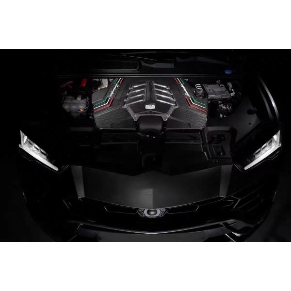 2019 Black Lamborghini Body Kit Dry Carbon Fiber Engine Interior Guard Shield