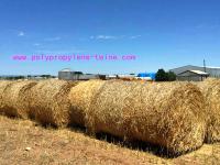 Custom 2G/M Gardening S Twist Hay Baling Twine PP Split Film Rope LT013