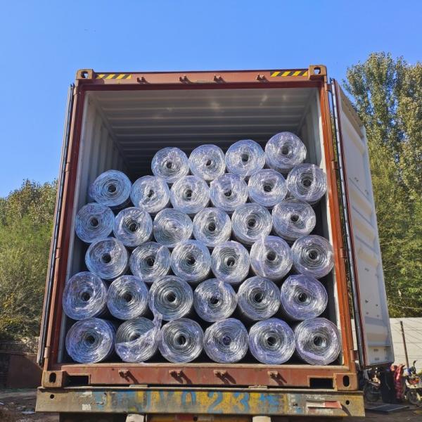 Directly Supply Welded Wire Mesh Roll for Rabbit and Bird Cage Corrosion Resistance