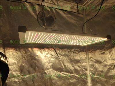 a barraca 3x3 de 240Watt Seoul 395nm Osram 730nm conduzida cresce a luz
