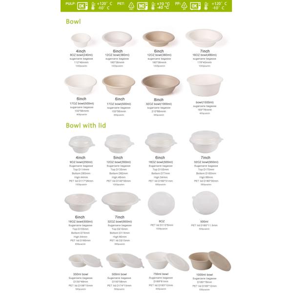 Sugarcane Bagasse Food Packaging Lunch Boxes Biodegradable Eco Friendly