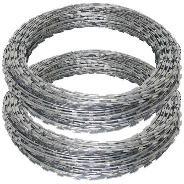 Hot Dip Galvanized PVC Coating Design Anti Climb Wire Fence for Commercial Buildings