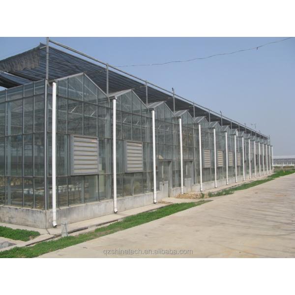 Galvanized Steel Frame Glass Covered Agriculture Greenhouse with Installation Drawing