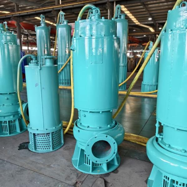 Durable Sewage Water Submersible Pump WQ 18.5Kw 25Hp  For Heavy Duty Flood Water Drainage Industrial Wastewater Treatment