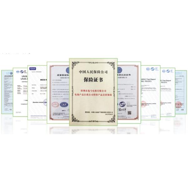 48V 15A 60V 10A 72V 9A 84V 8A Водостойкие зарядные батареи Ли-ионные зарядные батареи