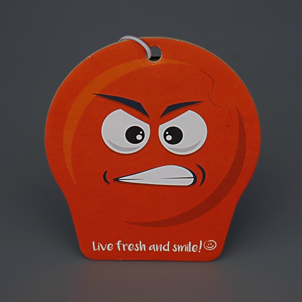 Custom fragrance Hanging Paper Air Freshener for Basement