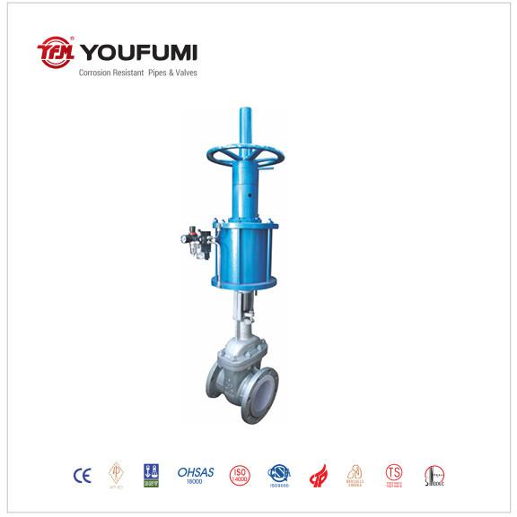 CF8M PTFE Lined Gate Valve