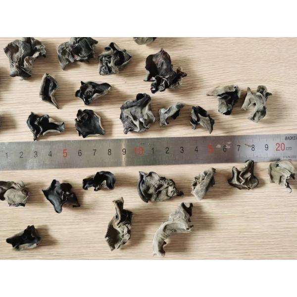 Wholesale  Bulk India Morocco Organic High Quality Dried Black  Fungus