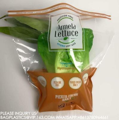 Manufacture Eco-Friendly Cellophane Vegetable Bags Customize Logo Lettuce Packaging Bag