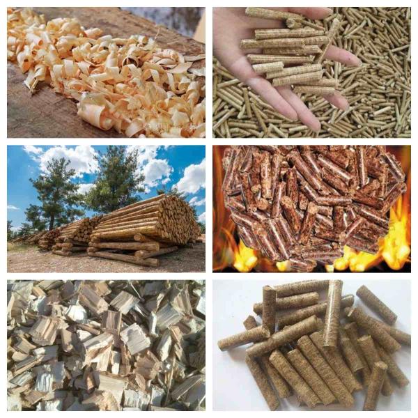 Линия Pelletizing биомассы с биомассой лепешки 2-10mm окончательной/деревянным технологическим оборудованием лепешки производственной линии лепешки