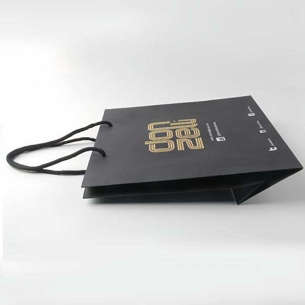 Customizable Paper Gift Box Hot Stamping Gift Packing Paper Bag Lightweight