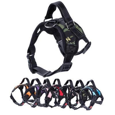 Harnais de chien capitonnés par style géométrique