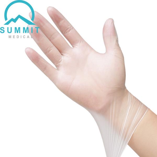 Powder Free Clear PVC Disposable Examination Gloves Latex Free