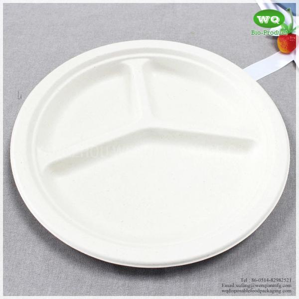 Biodegradable Sugarcane 10 Inch 3-Compartments Plate-HeavyDuty Plate, Natural Disposable Bagasse Plate for Party,Picnic