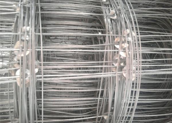 Galvanized Cattle Wire Fence Hinge Joint For Livestock , 0.8-2m Width
