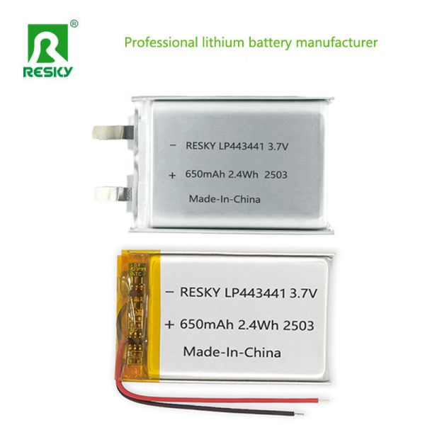 Lithium Ion Battery Cell 3.7V 650mAh Rechargeable Li-polymer Battery for Smart Doorbells