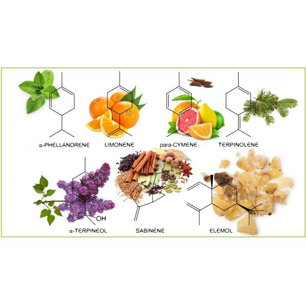After Service Online support Jasmine Essential Oil Extraction Vacuum Water Distillation System for Neem Seed